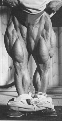 HOW TO GROW BIG LEGS